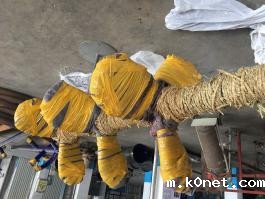 三层轴流式搅拌器