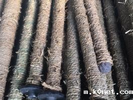 搪玻璃温度计套管