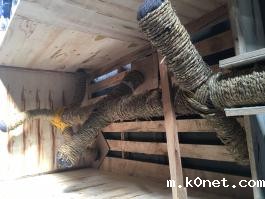 桨叶组合式搅拌器