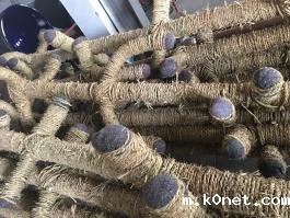 搪瓷叶轮锚桨组合式搅拌器