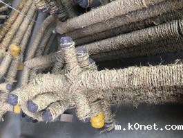 2000L桨式搪瓷搅拌器